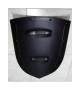 medieval triangular shield
