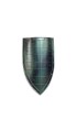 Medieval shield