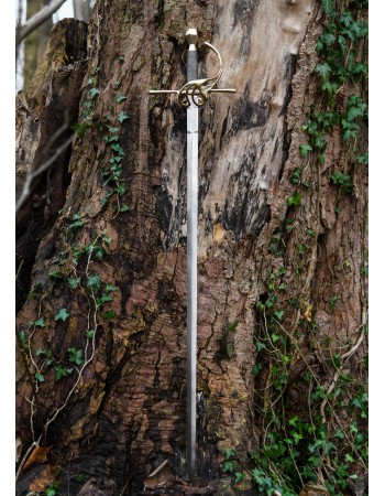 Rapier, 17th century
