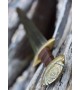 Rus-Viking Sword