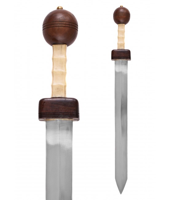 Pompeii Gladius with Scabbard