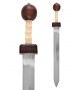 Pompeii Gladius with Scabbard