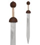 Roman Gladius (Pompei)