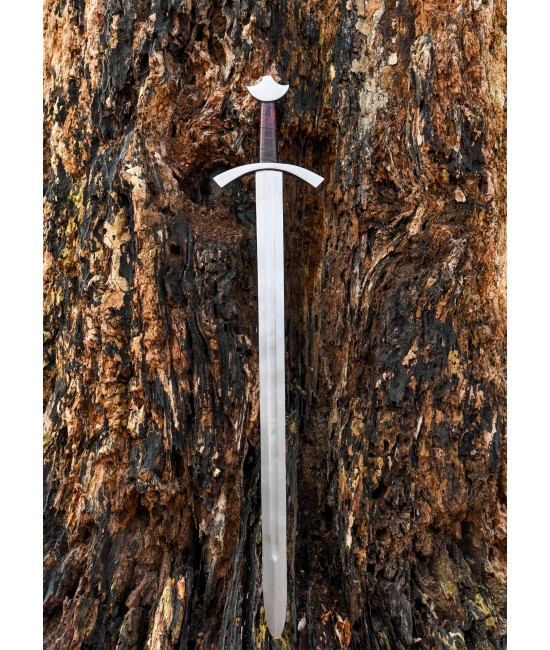 Medieval Knightly Sword SK-C