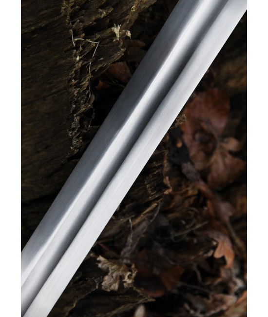 Viking Sword SK-B with scabbard