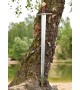 Lübeck Arming Sword