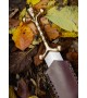 Celtic Dagger with Bronze Hilt