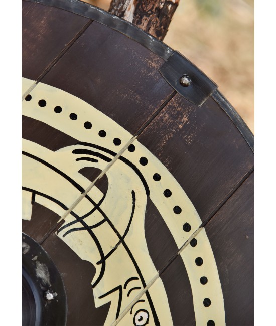 Round Viking Shield