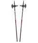 Halberd XVIII Century