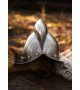 German Morion
