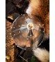 Germanic Spangenhelm
