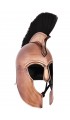 Troyan Helmet with Crested Plume