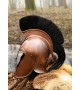 Troyan Helmet with Crested Plume