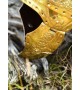 Roman Praetorian helmet