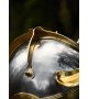 Roman helmet Auxiliary 'E'