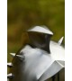 Maximus Gladiator Helmet