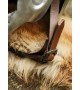 Maximus Gladiator Helmet