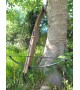 Functional Medieval Crossbow - 80 lbs
