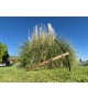 Functional Medieval Crossbow - 80 lbs