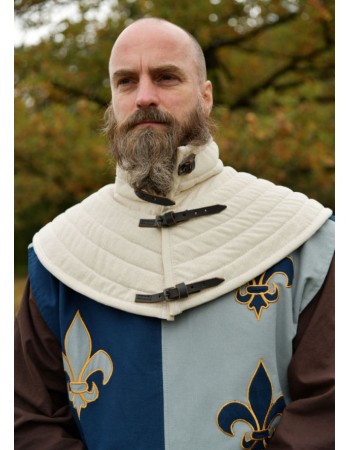 Padded collar