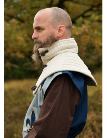 Padded collar