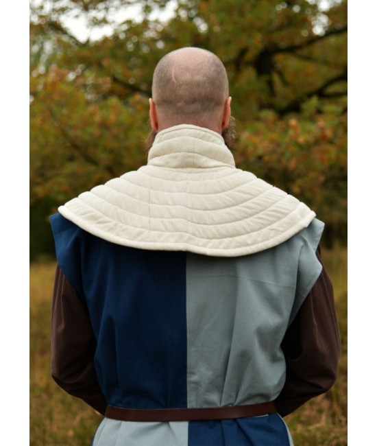 Padded collar