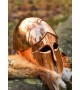 Corinthian Helmet - Helmet from Bronze