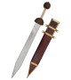 Roman Gladius (Pompei)