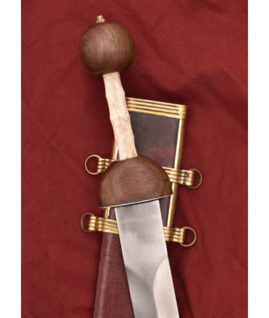 Roman Gladius (Pompei)