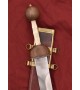 Roman Gladius (Pompei)