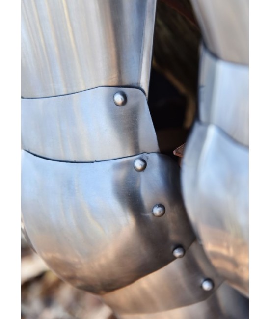 Late medieval leg
