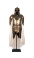 Kingsguard armor - game of thrones
