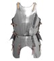 Italian plate armor
