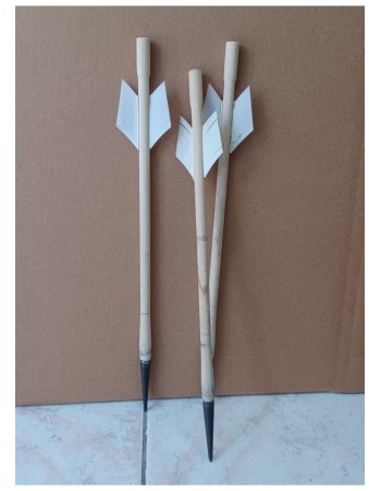 Crossbow Bolt
