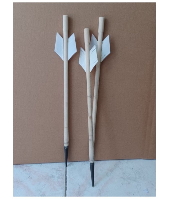 Crossbow Bolt