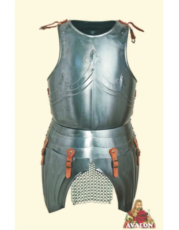 Cuirass Medieval Front & Back Plate Armor
