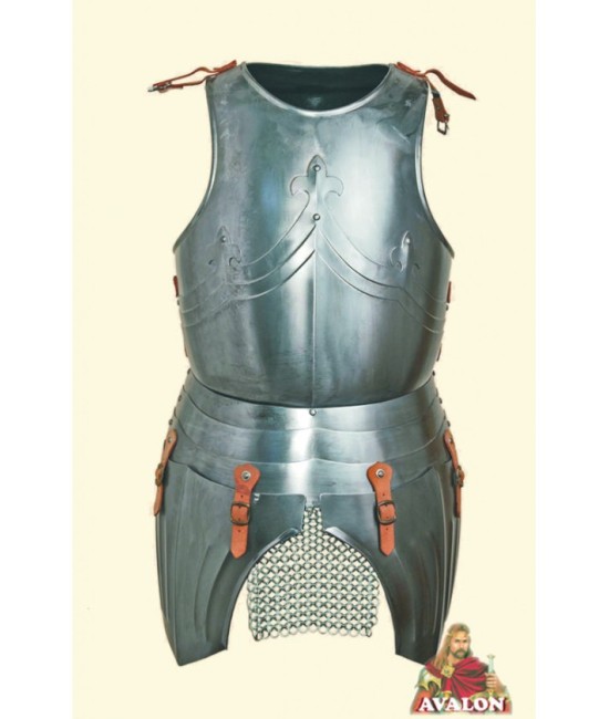 Cuirass Medieval Front & Back Plate Armor