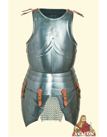 Cuirass Medieval Front & Back Plate Armor