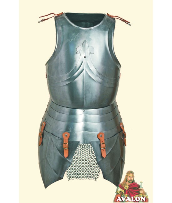 Cuirass Medieval Front & Back Plate Armor