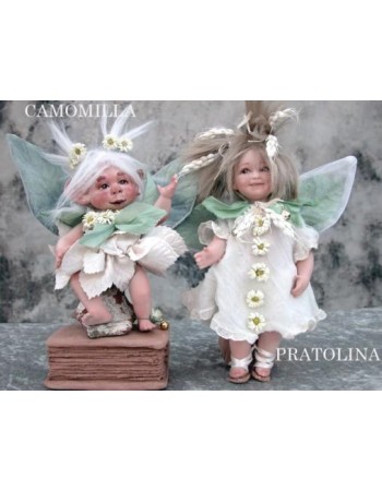 Chamomile and Pratolina