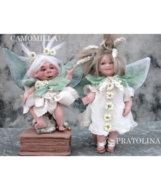Chamomile and Pratolina