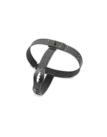 Medieval Chastity Belt