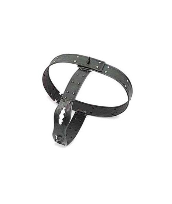Medieval Chastity Belt