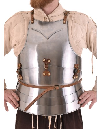 Milanese armor - 15. century