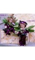 Colchicum and Violet
