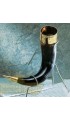 Horn libation