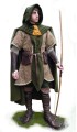 Elf warrior costume