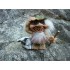 Troll Nyform 007