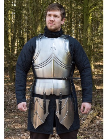 Gothic armor - 1.2mm steel