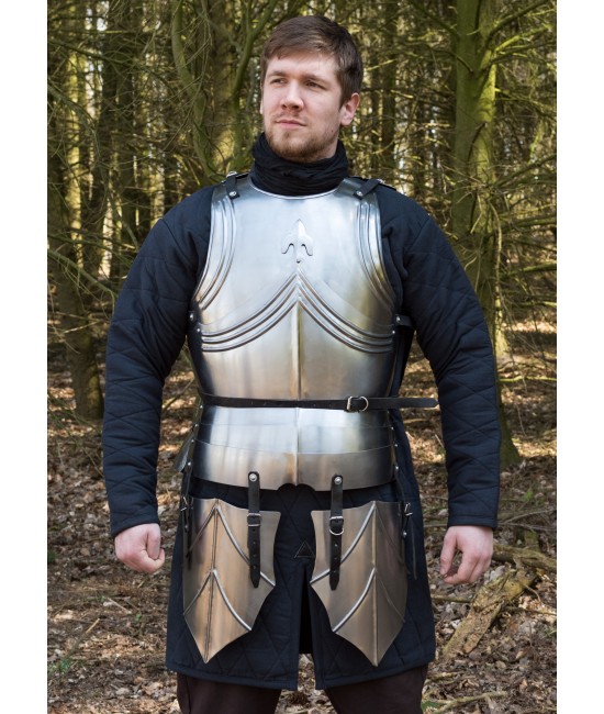 Gothic armor - 1.2mm steel